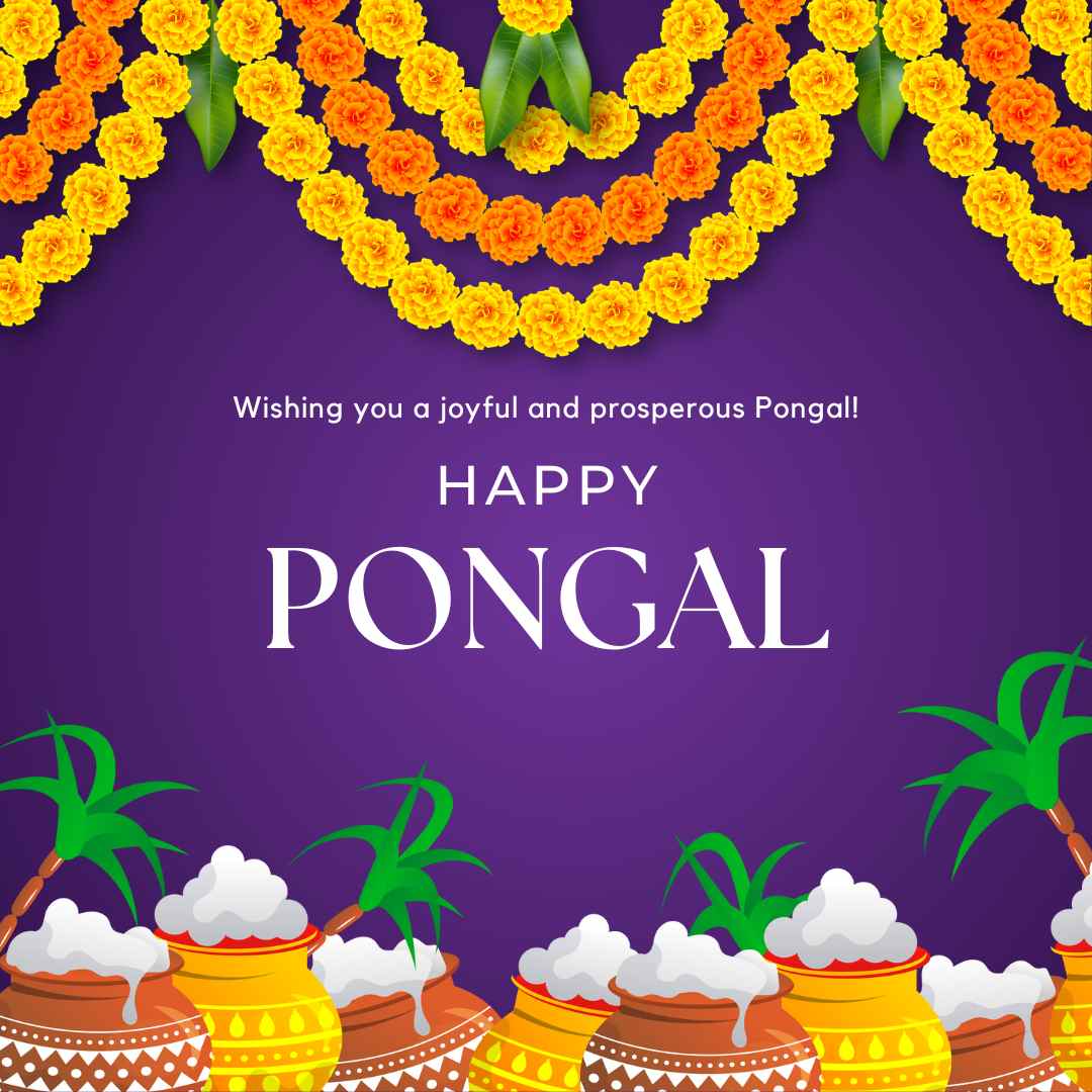 100+ Happy Pongal 2024: Wishes, Images, Quotes and WhatsApp Messages To Share