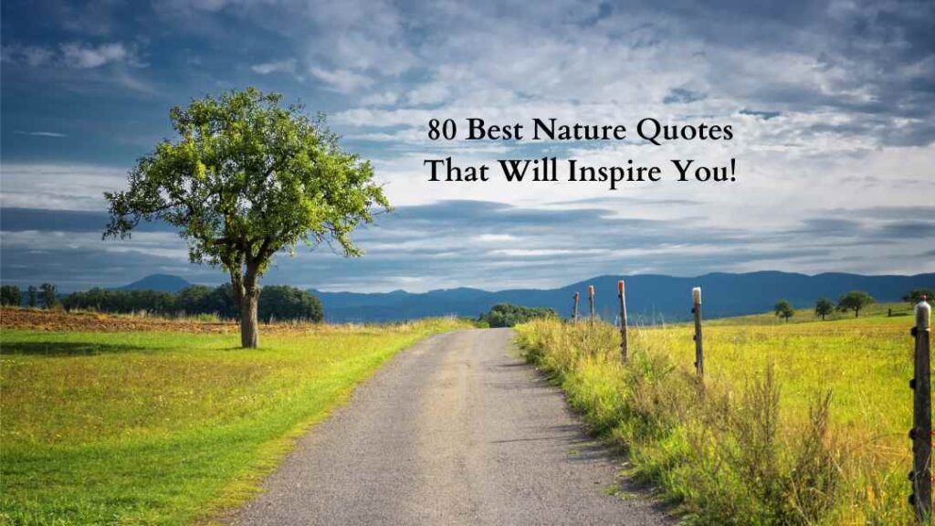 80 Best Nature Quotes That Will Inspire You!