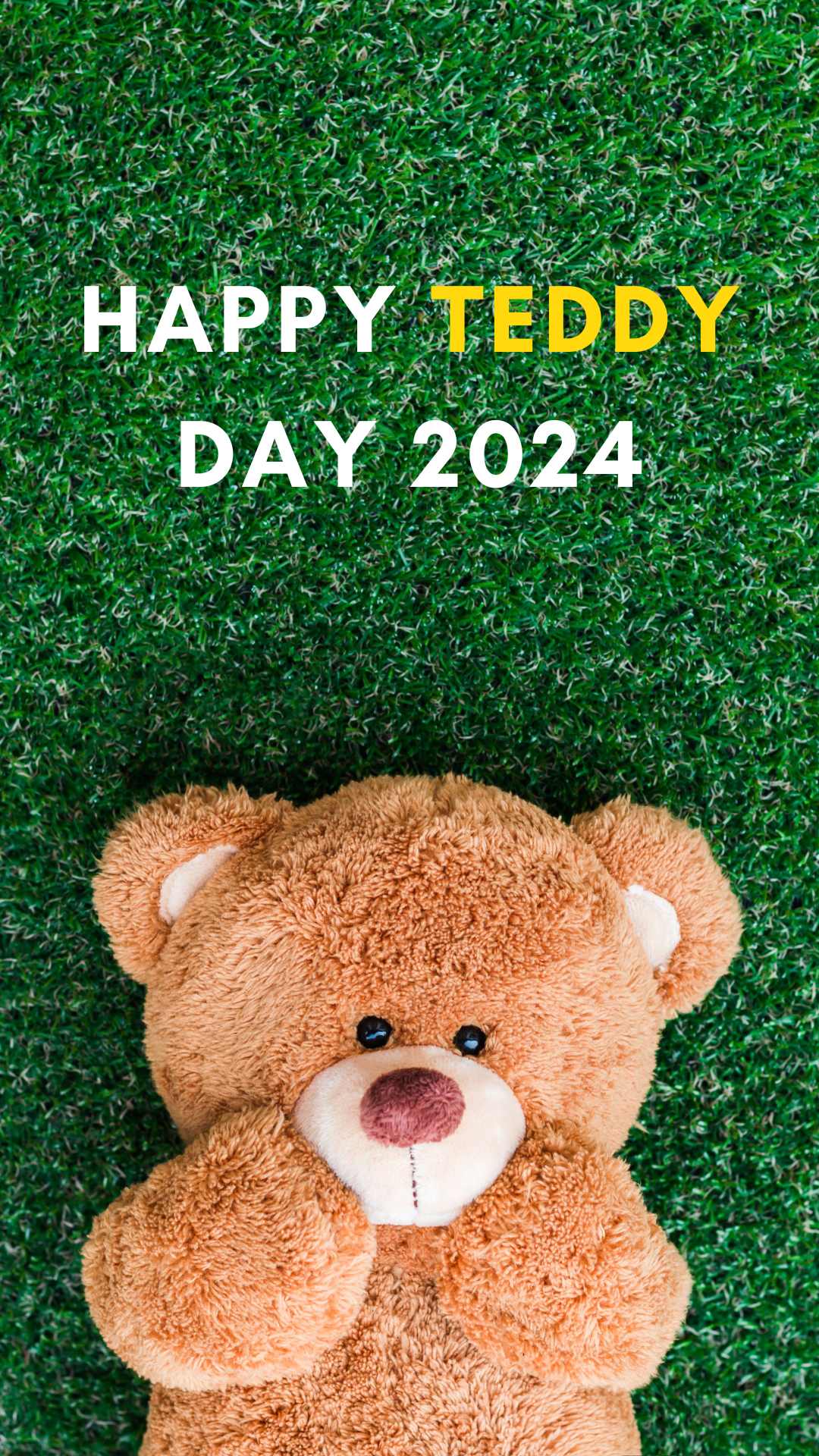 Happy Teddy Day 2024
