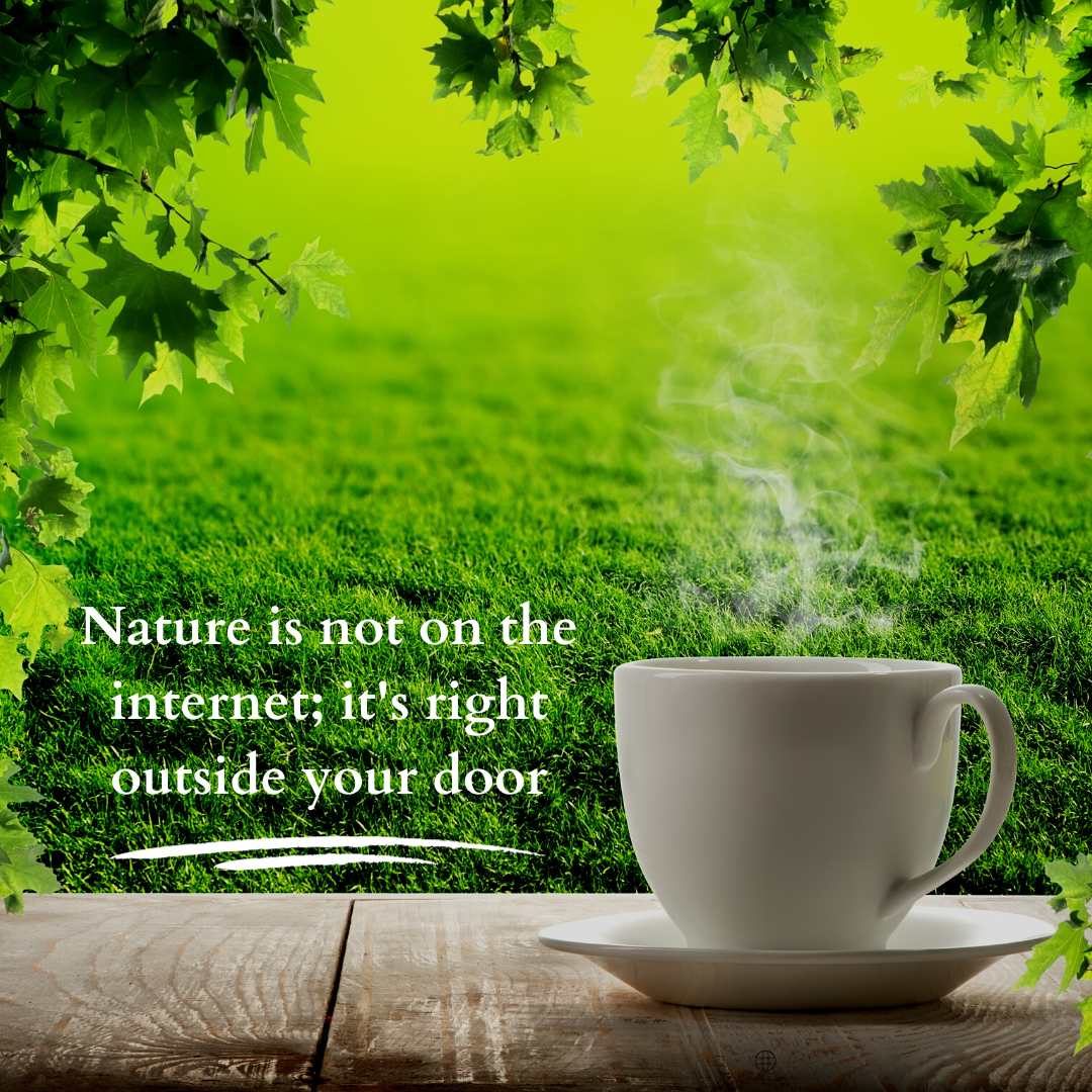 Nature quotes: Nature is not on the internet; it's right outside your door