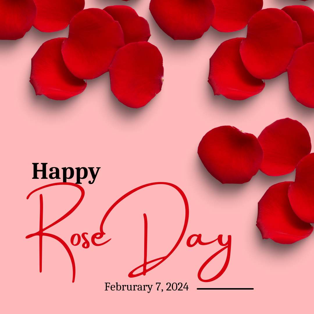 Happy Rose Day 2024: Top 110 Wishes, Messages, Quotes and Images for Your Special One