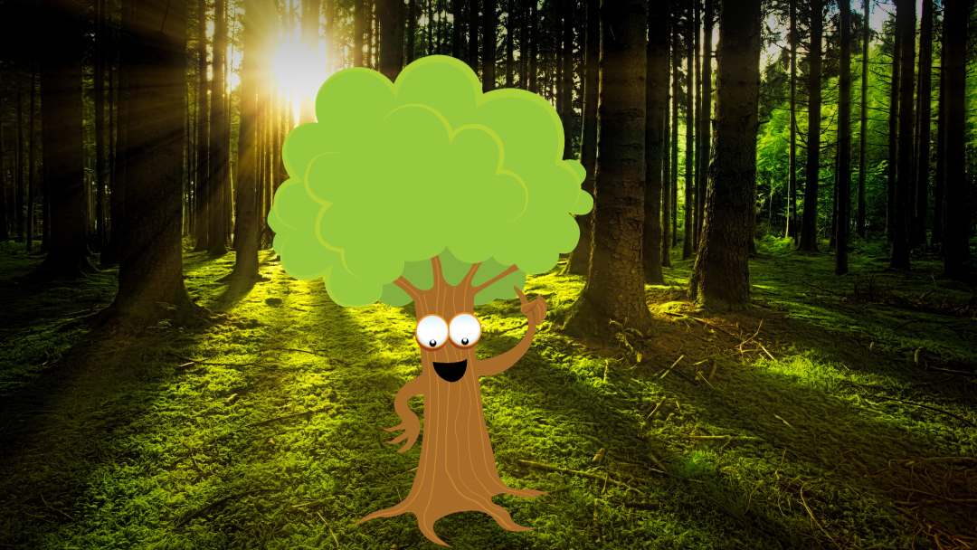 Toby and the Talking Trees