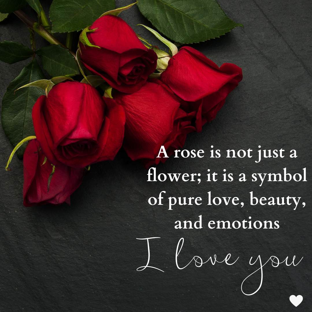 Happy Rose Day 2024: 30 Quotes 