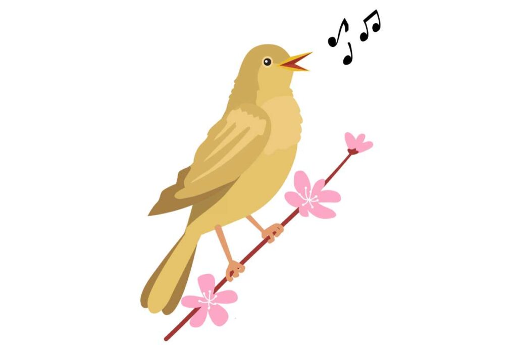 The Nightingale Interesting Story For Kids English Story The nightingale interesting story for kids english story