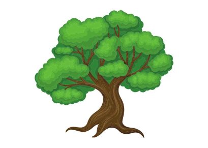 The Oak Tree and the Reed